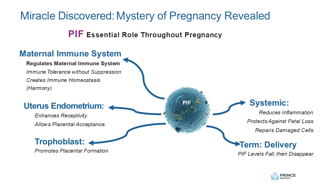 Miracle Discovered: Mystery of Pregnancy Revealed